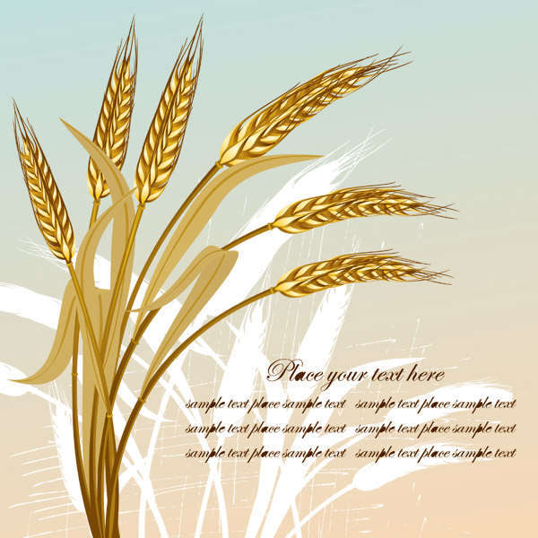 free vector Golden wheat vector